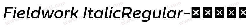 Fieldwork ItalicRegular字体转换